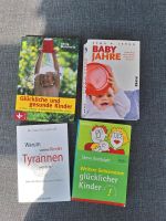 Bücherpaket Sachbücher Erziehung z.B. "Babyjahre" Nordrhein-Westfalen - Neunkirchen-Seelscheid Vorschau