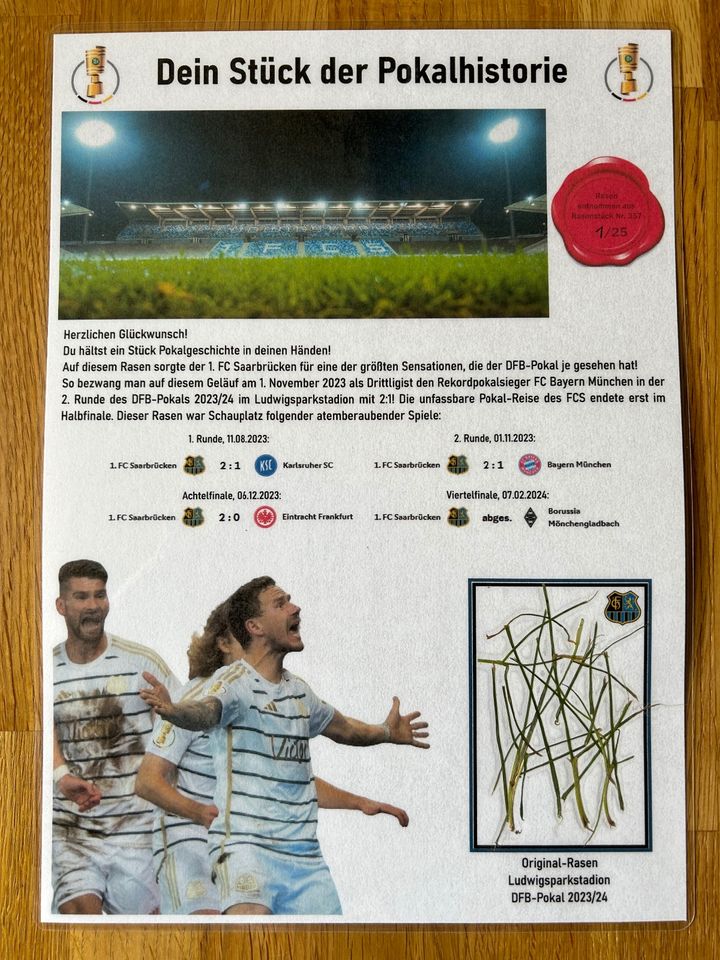 Original Rasen 1. FC Saarbrücken Ludwigsparkstadion 2023/24 in Nohfelden