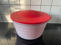 Tupperware Salatschleuder/-karussel 3776A-2 Baden-Württemberg - Rielasingen-Worblingen Vorschau