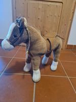 Wunderschönes großes Pferd von Götz Thüringen - Langenwetzendorf Vorschau