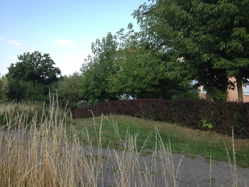 Sehr beliebte 2-Raum-Wohnung mit Aufzug und großer Terrasse in Bannewitz