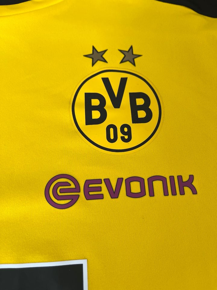 Borussia Dortmund Trainingsshirt Puma in Speyer