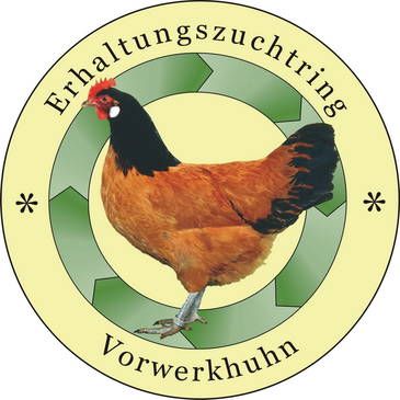Vorwerk-Huhn Bruteier in Penig