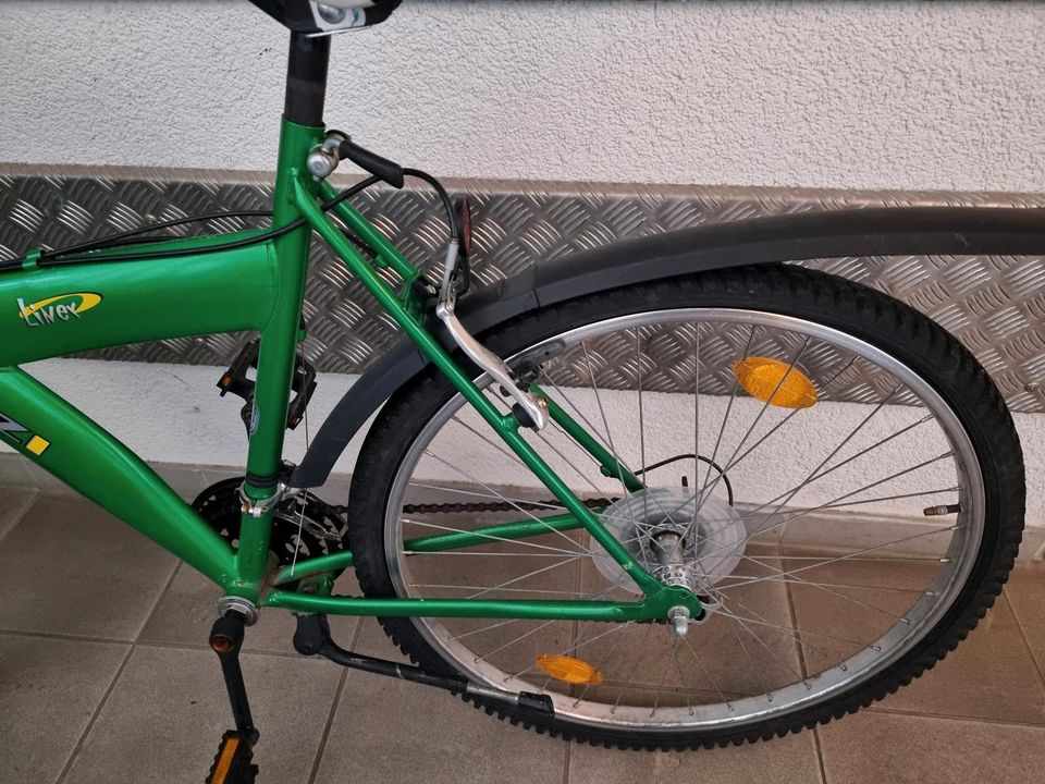 Fahrrad zu verkaufen Bike sportlich Gangschaltung grün in Wildau