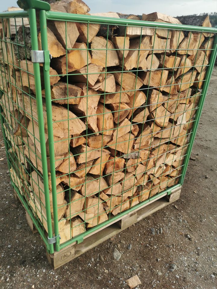 Buchen Eichenholz vorgelagert in Derenburg