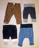 Diverse Hosen 68 Hose Nürnberg (Mittelfr) - Oststadt Vorschau