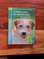 Schüßler Salze für meinen Hund Bayern - Landsberg (Lech) Vorschau