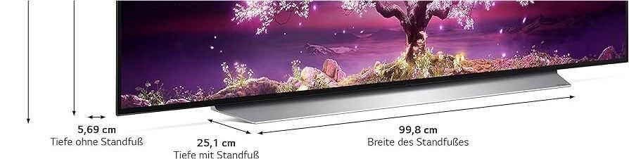 OLED Standfuß LG 55/65/CX/C9/C1 TV Ständer in Berlin