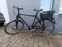Citybike Pegasus Solero, RH 58cm, 24 Gänge Nordrhein-Westfalen - Kirchlengern Vorschau