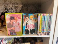 Manga Hitorijime My Hero 1-10 schuber boys love yaoi anime tausch Baden-Württemberg - Mainhardt Vorschau