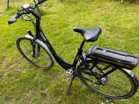 Hercules E-bike Baden-Württemberg - Rastatt Vorschau