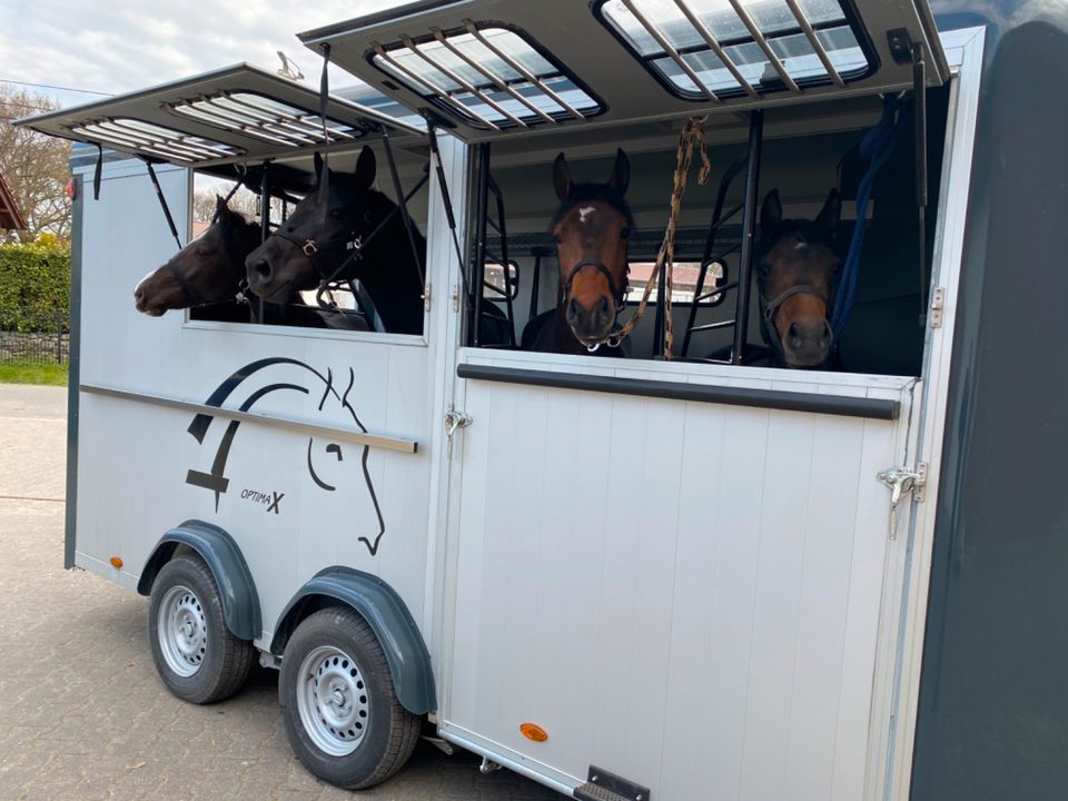 Pferde Transport Taxi Deutschland Holland Österreich Ungarn in Dorsten