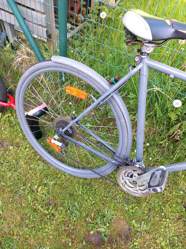 Fahrrad 28 groß mit 7 gang in Oldenburg