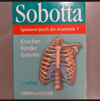 Sobotta Lernkarten - Spielend durch die Anatomie 1 / Knochen Sachsen-Anhalt - Halle Vorschau
