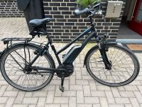 Bergamont E-Bike Damen Rücktrittbremse Nordrhein-Westfalen - Hörstel Vorschau