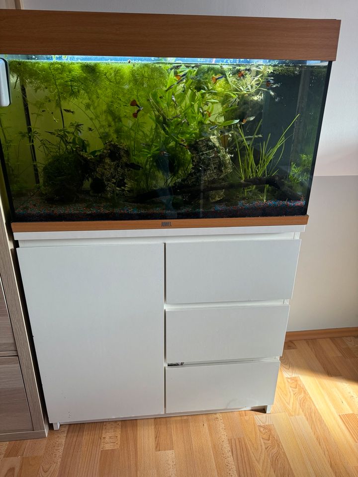 Aquarium Juwel 120l in Neukirchen-Vluyn