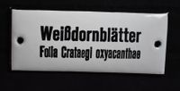 Altes Emailschild Weißdornblätter Folia Crataegi oxyacanthae Baden-Württemberg - Karlsruhe Vorschau