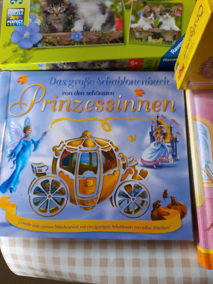 Spiele/Bücher/Puzzle im Set in Kaltennordheim