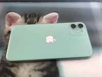 iPhone 11 Mintfarben Herzogtum Lauenburg - Breitenfelde Vorschau