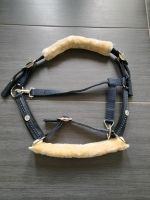 Felix Bühler Halfter COB blau Teddy Glitzer ❗️NEU ❗️ Duisburg - Friemersheim Vorschau