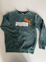 Sweatshirt Puma Größe S wie adidas Größe 176 Pulli Hoodie Nordrhein-Westfalen - Königswinter Vorschau