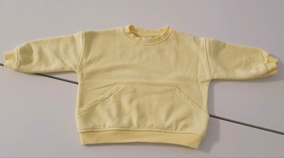 Zara Pullover Baby Gr.74/80 6 Stück in Marktheidenfeld