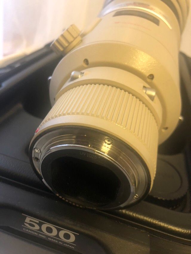 Objektiv Canon 500mm F 4 L IS USM in Köln