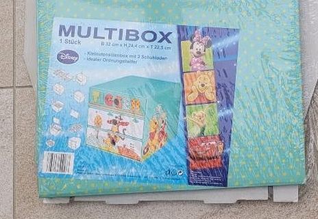 Multibox Box Aufbewahrung Winnie Pooh Tigger in Malterdingen