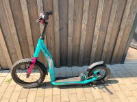 Roller Star Scooter Luftreifen Niedersachsen - Scharnebeck Vorschau