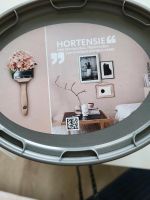 Wandfarbe Hortensie 1L Schöner Wohnen Essen - Altenessen Vorschau