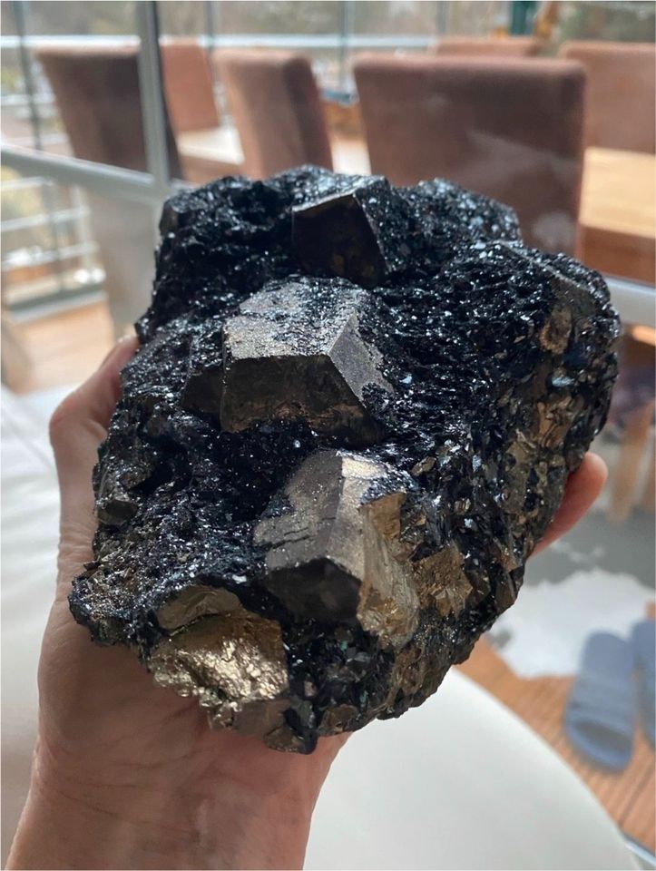 Pyrit XX mit Hämatit Großstufe Elba Italien Museumsstück Mineral in Geraberg