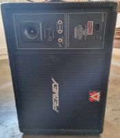 Peavey EuroSys 15PM  Aktiv-Monitorbox Bayern - Küps Vorschau