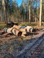 Stammholz Eiche,Esche,Buche und Birke Mecklenburg-Vorpommern - Klein Bünzow Vorschau