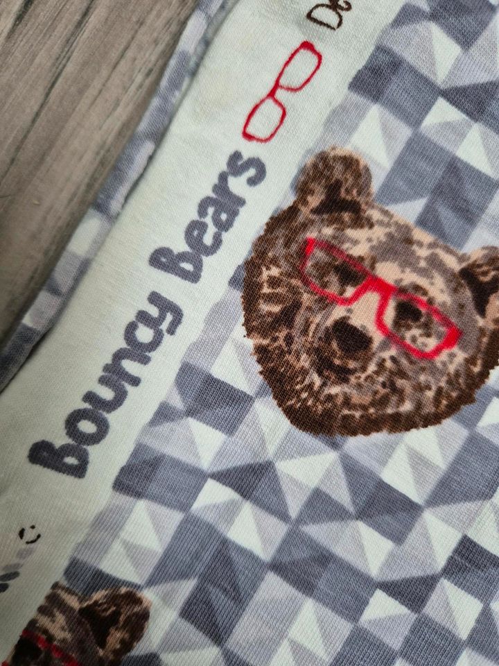 Bouncy Bears Stoff Bär Jersey Stoffe Kinderstoff nähen Farbenmix in Wartenberg