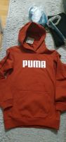 Mädchen Sweatshirt Puma Größe 164 Berlin - Spandau Vorschau