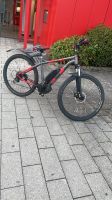 LIQ Bike LIQ ROCK E-Bike 29 Zoll Nordrhein-Westfalen - Radevormwald Vorschau