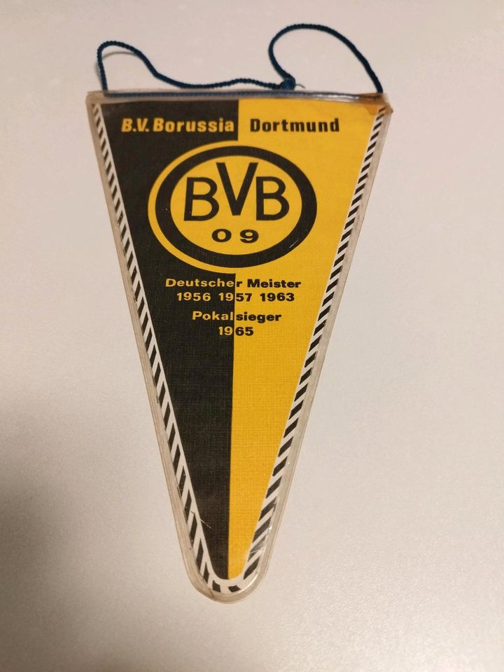 Eintracht Braunschweig Hannover 96 Borussia Dortmund FC Magdeburg in Braubach