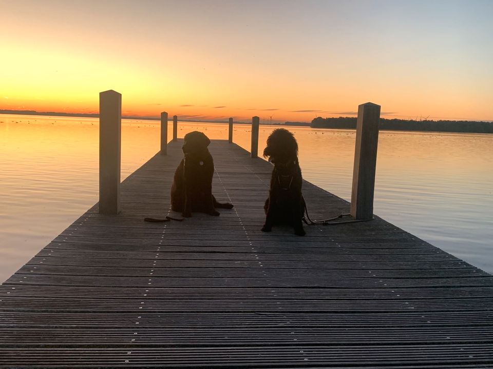 Traum Ferienhaus Strand Holland Veluwe Meer + Hund ** in Wuppertal