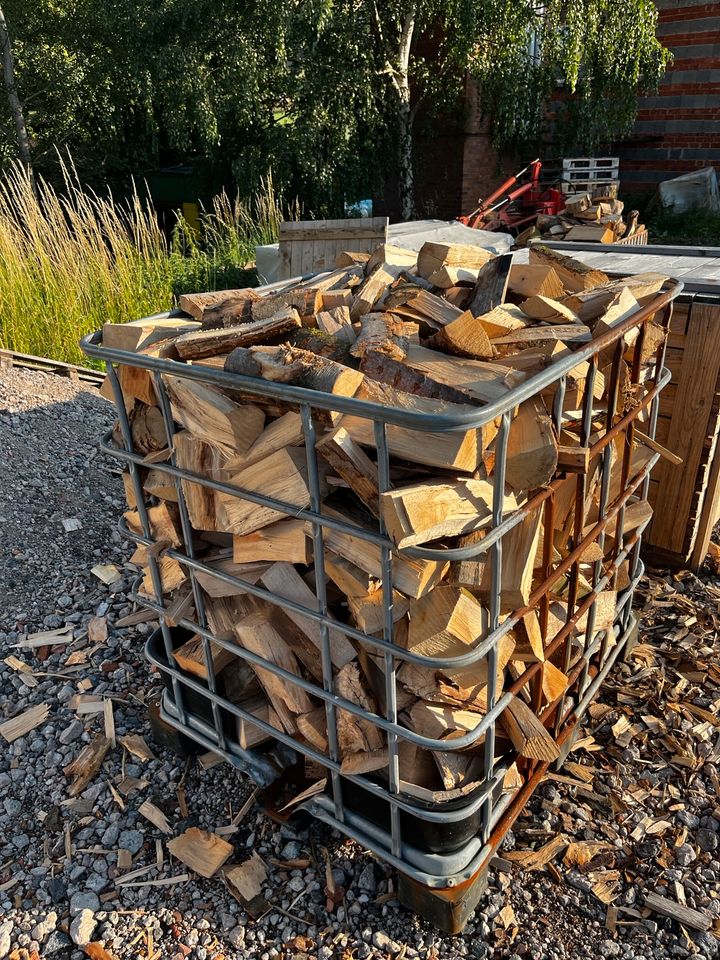 Brennholz Buche Fichte Anzündholz in Floh-Seligenthal-Struth-Helmershof