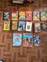 Disney Bücher und andere Bücher Hessen - Baunatal Vorschau