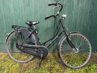 Hollandrad 28" Damenrad 3 Gang Nabendynamo Shimano Niedersachsen - Moormerland Vorschau