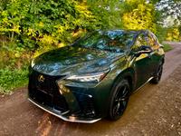 Lexus NX-350h Hybrid F-Sport Nordfriesland - Friedrichstadt Vorschau