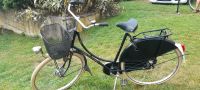 Gazelle  a-Touren Damenfahrrad 28 Zoll Saale-Holzland-Kreis - Gumperda Vorschau