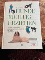 Buch Hunde richtig erziehen Berlin - Wilmersdorf Vorschau