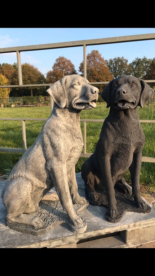 Labrador Retriever 80cm 90kg Lebensgroß Steinguss Labbi Lab Hund in Karlsruhe