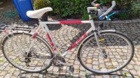 Herren Tourenrad Fahrrad 28 Zoll Enik RH 56cm Bayern - Heßdorf Vorschau