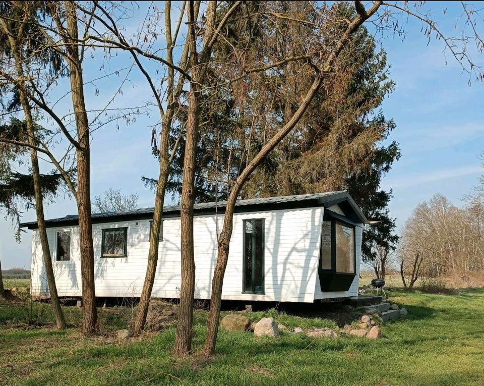 Erholungsgrundstück Gartengrundstück Kleingarten Wochenendgrundstuck in Friedensstr., 15328 Küstriner Vorland(58km von Berliner Stadtgrenze) in Küstriner Vorland