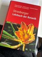 Lehrbuch der Botanik, Strasburger 36. Auflage Nordrhein-Westfalen - Bad Honnef Vorschau