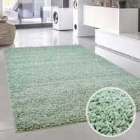 NEU Hochflor Teppich Pastell Shaggy grün 160x220 cm Wuppertal - Barmen Vorschau