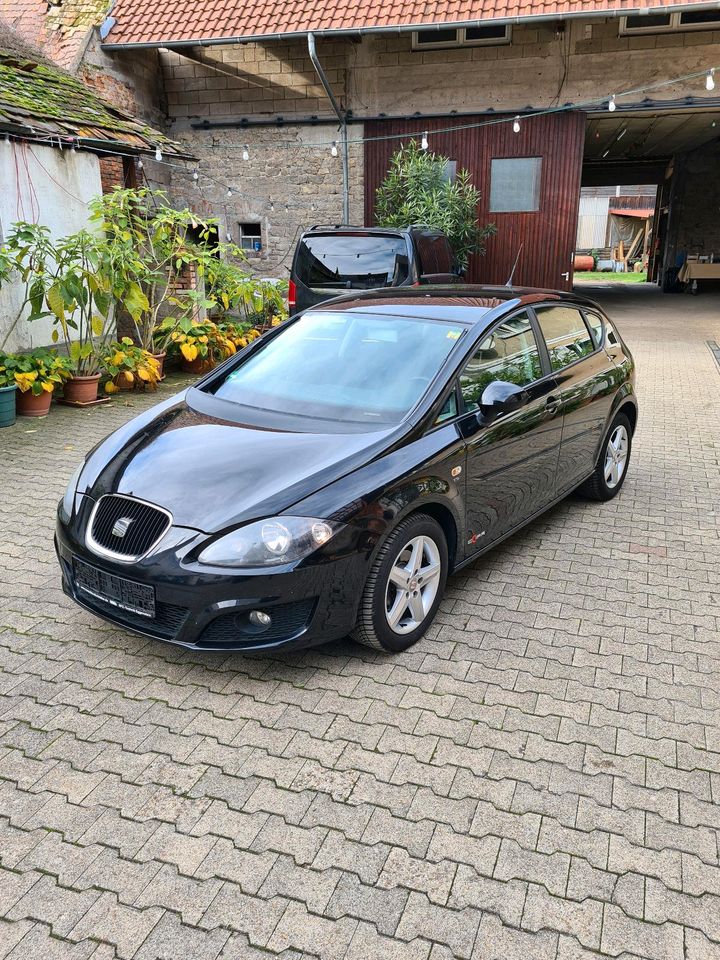 Seat Leon 1P COPA Edition in Bruchsal